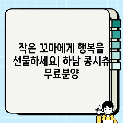 하남 콩시츄 강아지 무료분양| 작은 꼬마에게 큰 행복을 선물하세요 | 하남, 콩시츄, 무료분양, 입양, 강아지