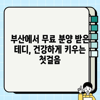 부산 무료 분양 테디 럽 건강 관리 가이드| 기본 지식부터 실전 팁까지 | 테디, 건강 관리, 무료 분양, 부산