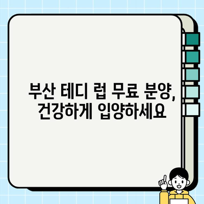 부산 무료 분양 테디 럽 건강 관리 가이드| 기본 지식부터 실전 팁까지 | 테디, 건강 관리, 무료 분양, 부산