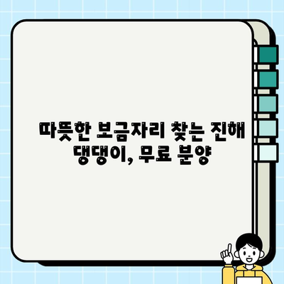진해에서 만난 댕댕이, 행복한 동반자를 찾습니다! 무료 분양 | 진해, 강아지, 무료 분양, 입양