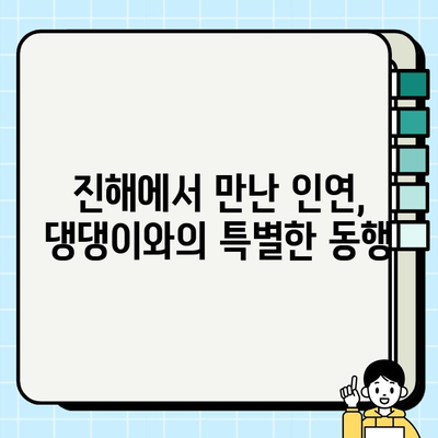 진해에서 만난 댕댕이, 행복한 동반자를 찾습니다! 무료 분양 | 진해, 강아지, 무료 분양, 입양