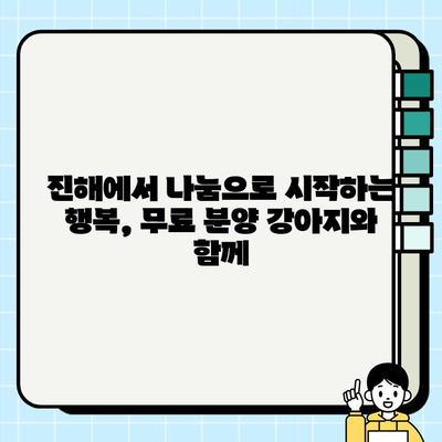 진해에서 행복한 스토리를 만들 강아지 무료 분양 | 진해 강아지 입양, 무료 분양 정보, 유기견 입양