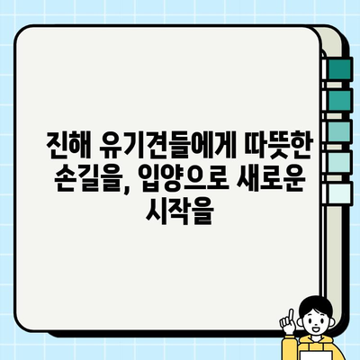 진해에서 행복한 스토리를 만들 강아지 무료 분양 | 진해 강아지 입양, 무료 분양 정보, 유기견 입양