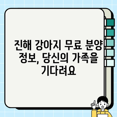진해에서 행복한 스토리를 만들 강아지 무료 분양 | 진해 강아지 입양, 무료 분양 정보, 유기견 입양