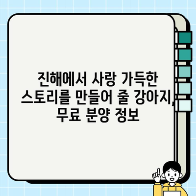 진해에서 행복한 스토리를 만들 강아지 무료 분양 | 진해 강아지 입양, 무료 분양 정보, 유기견 입양