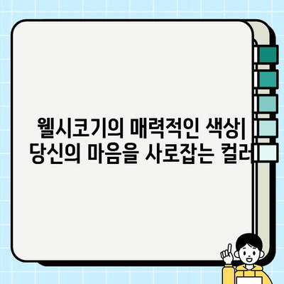 웰시코기 무료 분양| 사랑스러운 소형견 웰시코기의 매력적인 색상 | 웰시코기 입양, 무료 분양 정보, 웰시코기 특징