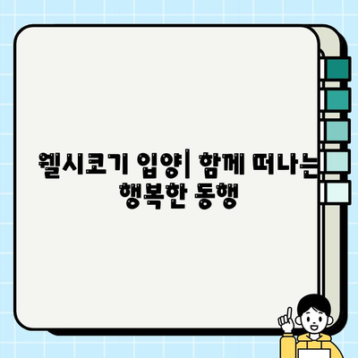 웰시코기 무료 분양| 사랑스러운 소형견 웰시코기의 매력적인 색상 | 웰시코기 입양, 무료 분양 정보, 웰시코기 특징