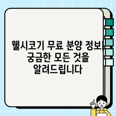 웰시코기 무료 분양| 사랑스러운 소형견 웰시코기의 매력적인 색상 | 웰시코기 입양, 무료 분양 정보, 웰시코기 특징
