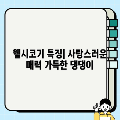 웰시코기 무료 분양| 사랑스러운 소형견 웰시코기의 매력적인 색상 | 웰시코기 입양, 무료 분양 정보, 웰시코기 특징