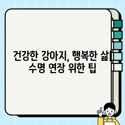 강아지 수명 연장의 비밀| 건강 관리 가이드 | 장수, 건강, 수명, 관리, 팁, 정보