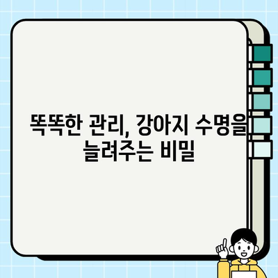 강아지 수명 연장의 비밀| 건강 관리 가이드 | 장수, 건강, 수명, 관리, 팁, 정보