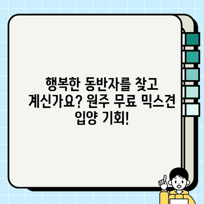 원주 무료 강아지 분양| 말티즈와 치와와 믹스견 입양하기 | 원주, 강아지 분양, 믹스견, 말티즈, 치와와