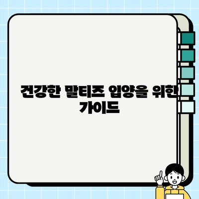 원주 무료 분양 말티즈, 건강 검진은 필수! 건강하게 입양하세요 | 원주 강아지 무료 분양, 말티즈, 건강 검진, 입양 가이드