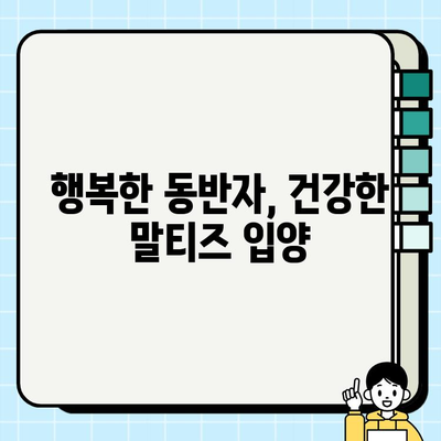 원주 무료 분양 말티즈, 건강 검진은 필수! 건강하게 입양하세요 | 원주 강아지 무료 분양, 말티즈, 건강 검진, 입양 가이드