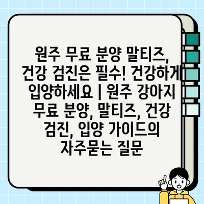 원주 무료 분양 말티즈, 건강 검진은 필수! 건강하게 입양하세요 | 원주 강아지 무료 분양, 말티즈, 건강 검진, 입양 가이드
