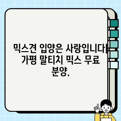 가평 말티치 믹스 무료 분양| 달콤한 사랑을 나눠줄 가족을 찾습니다! | 말티푸, 믹스견, 가평, 무료분양, 입양