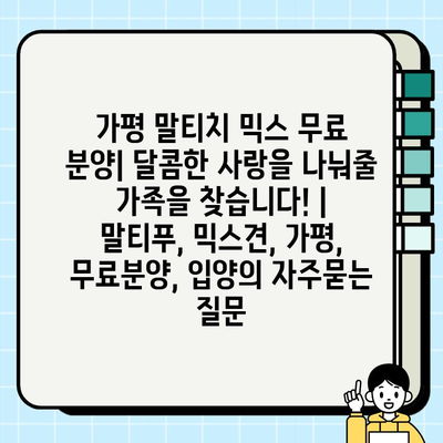 가평 말티치 믹스 무료 분양| 달콤한 사랑을 나눠줄 가족을 찾습니다! | 말티푸, 믹스견, 가평, 무료분양, 입양