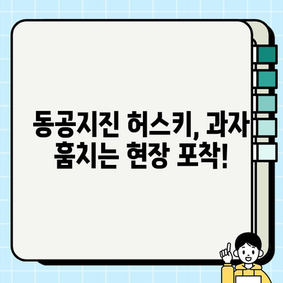 충격적 
