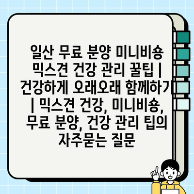 일산 무료 분양 미니비숑 믹스견 건강 관리 꿀팁 | 건강하게 오래오래 함께하기 | 믹스견 건강, 미니비숑, 무료 분양, 건강 관리 팁