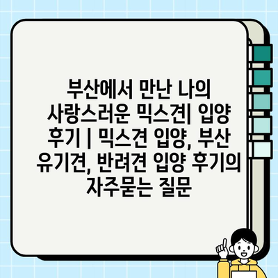 부산에서 만난 나의 사랑스러운 믹스견| 입양 후기 | 믹스견 입양, 부산 유기견, 반려견 입양 후기