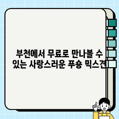 부천에서 무료 분양하는 귀여운 푸숑 믹스견 만나보세요! | 강아지 무료 분양, 푸숑, 믹스견, 부천