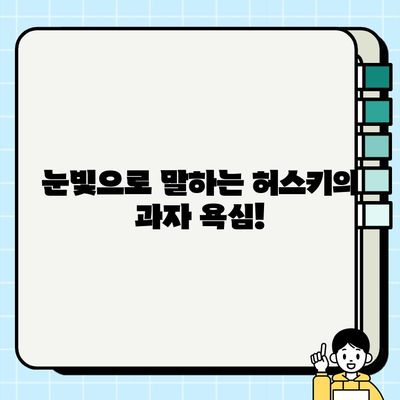 충격적 