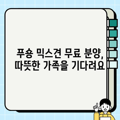 부천에서 무료 분양하는 귀여운 푸숑 믹스견 만나보세요! | 강아지 무료 분양, 푸숑, 믹스견, 부천