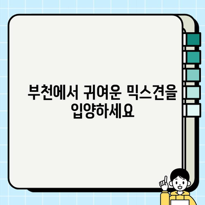 부천에서 무료 분양하는 귀여운 푸숑 믹스견 만나보세요! | 강아지 무료 분양, 푸숑, 믹스견, 부천