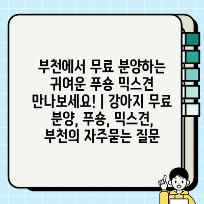 부천에서 무료 분양하는 귀여운 푸숑 믹스견 만나보세요! | 강아지 무료 분양, 푸숑, 믹스견, 부천