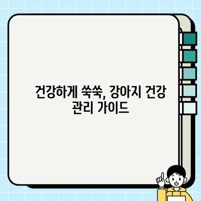진해에서 무료 분양 받은 강아지, 행복한 스토리 시작하기| 건강하고 행복한 삶을 위한 가이드 | 진해 강아지 무료 분양, 입양, 건강 관리, 행복 팁