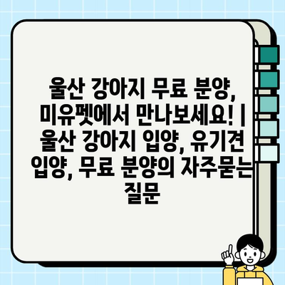 울산 강아지 무료 분양, 미유펫에서 만나보세요! | 울산 강아지 입양, 유기견 입양, 무료 분양
