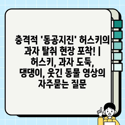 충격적 