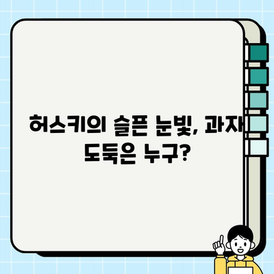 사라진 과자에 