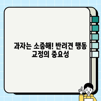 사라진 과자에 