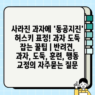 사라진 과자에 