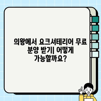 의왕에서 무료 분양하는 똑똑한 요크셔테리어 찾기| 입양 전 알아야 할 모든 것 | 의왕 강아지 분양, 요크셔테리어 입양, 무료 분양 정보