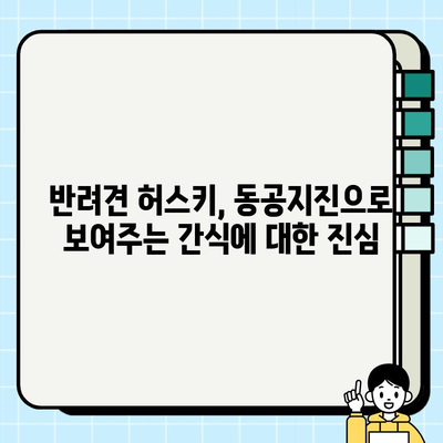 허스키의 