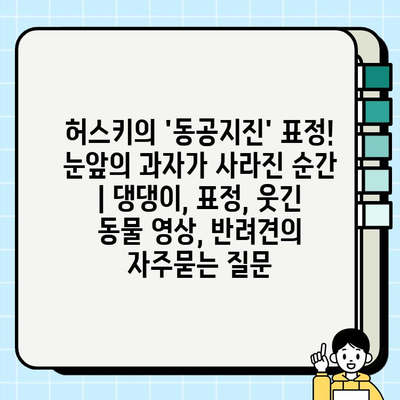 허스키의 