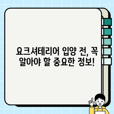 의왕에서 무료 분양하는 똑똑한 요크셔테리어 찾기| 입양 전 알아야 할 모든 것 | 의왕 강아지 분양, 요크셔테리어 입양, 무료 분양 정보