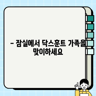 잠실에서 만나는 우아한 닥스훈트 무료 분양 | 닥스훈트 분양, 잠실 강아지 무료 분양, 애완견 입양
