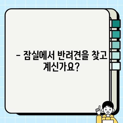 잠실에서 만나는 우아한 닥스훈트 무료 분양 | 닥스훈트 분양, 잠실 강아지 무료 분양, 애완견 입양