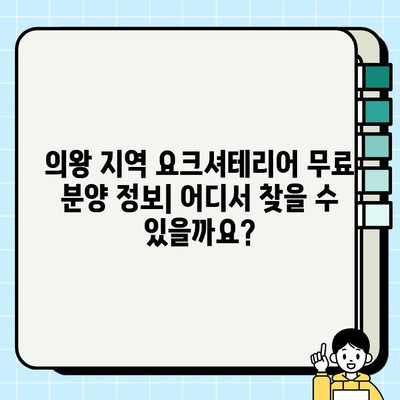의왕에서 무료 분양하는 똑똑한 요크셔테리어 찾기| 입양 전 알아야 할 모든 것 | 의왕 강아지 분양, 요크셔테리어 입양, 무료 분양 정보