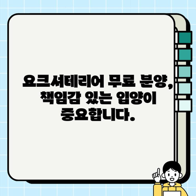 의왕에서 무료 분양하는 똑똑한 요크셔테리어 찾기| 입양 전 알아야 할 모든 것 | 의왕 강아지 분양, 요크셔테리어 입양, 무료 분양 정보