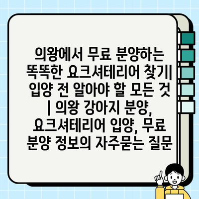 의왕에서 무료 분양하는 똑똑한 요크셔테리어 찾기| 입양 전 알아야 할 모든 것 | 의왕 강아지 분양, 요크셔테리어 입양, 무료 분양 정보