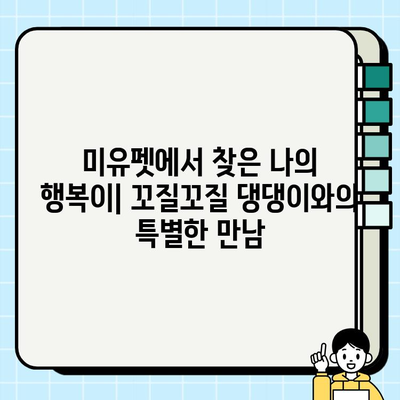 울산 미유펫에서 만난 착한 강아지 이야기| 입양 후기 & 팁 | 울산, 미유펫, 강아지 입양, 입양 후기, 유기견