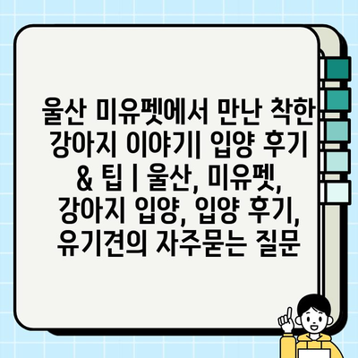울산 미유펫에서 만난 착한 강아지 이야기| 입양 후기 & 팁 | 울산, 미유펫, 강아지 입양, 입양 후기, 유기견