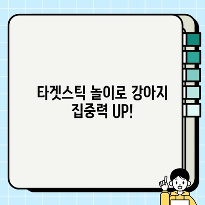강아지와 타겟스틱 놀이| 재미있게 훈련하고 유대감을 키우는 방법 | 강아지 훈련, 타겟스틱, 놀이 훈련, 집중력 향상