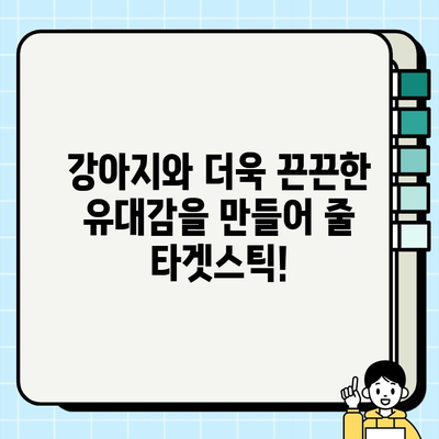 강아지와 타겟스틱 놀이| 재미있게 훈련하고 유대감을 키우는 방법 | 강아지 훈련, 타겟스틱, 놀이 훈련, 집중력 향상