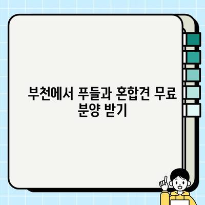 부천 무료 강아지 분양| 푸들 & 혼합견 찾기 | 입양 정보, 견종 특징, 주의 사항