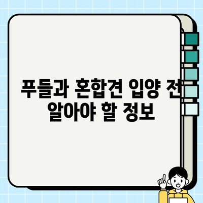 부천 무료 강아지 분양| 푸들 & 혼합견 찾기 | 입양 정보, 견종 특징, 주의 사항